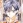 Shizumasa