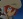  Kyte