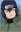 Hayate