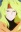 Dhaos