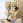  Teru