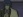 Amane