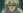 Shinou