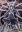 Leviathan