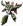 Jetfire/Dreadlock