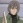 Sumi, Keiichi