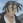 Ryoma
