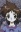 Tokiko, Mima