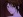 Yumi