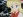 Applefield, Nadja