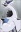 Lugia 