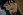 Daichi, Nozomi