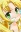 Astarotte