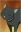  Shinnosuke