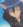 Ikuto