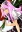 Kururu