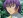 Asamiya, Ryuto