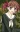 Yumi