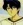 Kujou, Kazuomi