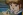 Sumire