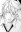 Kuon