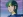 Rosee