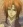 Yuda