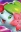  Shaymin