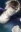  Youji
