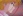 Suzaku
