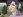Araki, Sanae
