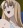Nakao, Sayaka