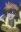 Regulus