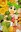 Yotsuba