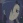Shion