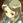 Emiri