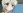 Nozomu
