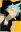 Black☆Star