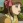 Haruka