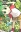 Yotsuba