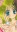  Suzu