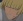 Shinji