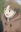 Nishimura, Satoru