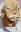 Gido