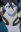 Suzumebachi