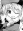 Moegi