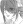  Shin