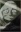 Used Bookstore Owner