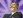 Yasushi