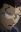 Hondou, Hidemi